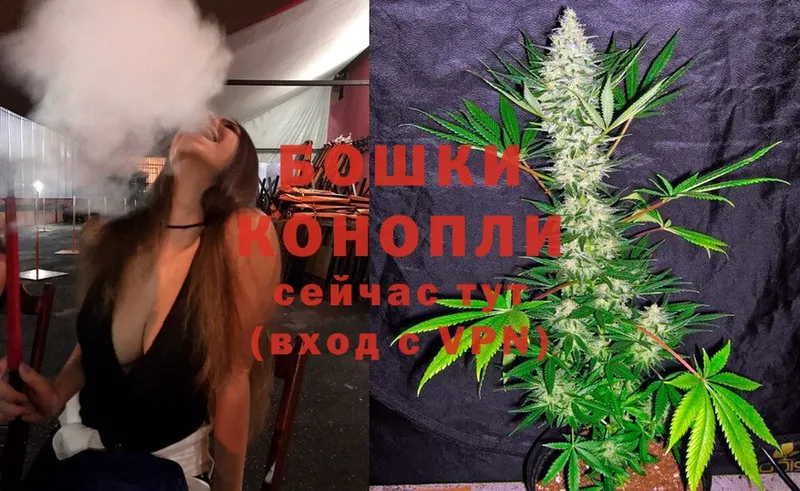 сколько стоит  Руза  Бошки марихуана OG Kush 